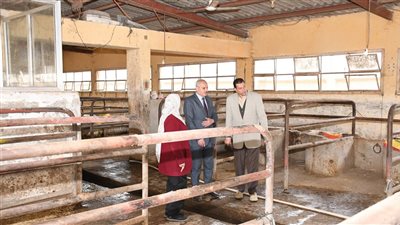 رئيس جامعة القناة يتابع منظومة الإنتاج الحيواني بكلية الطب البيطري