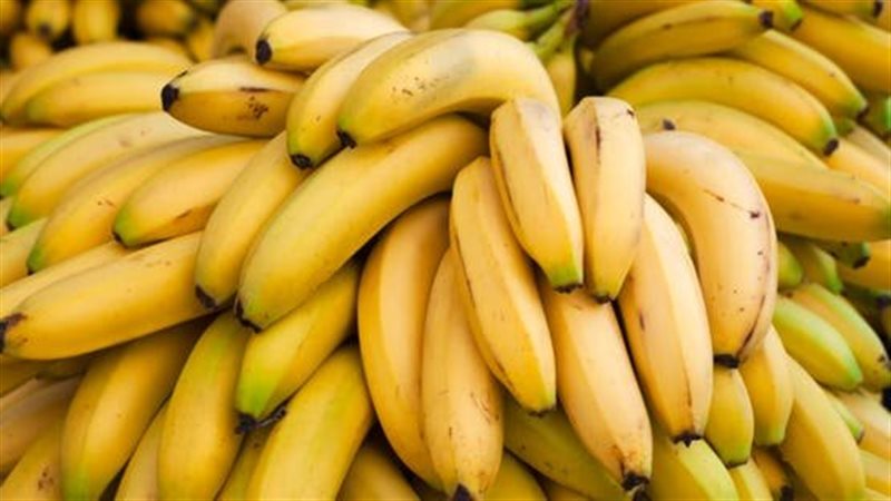 إنضاج الموز بمادة