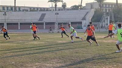 البدء في تنفيذ مشروع 