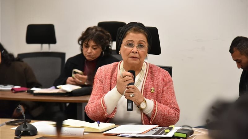 د. عبلة الألفي، نائب