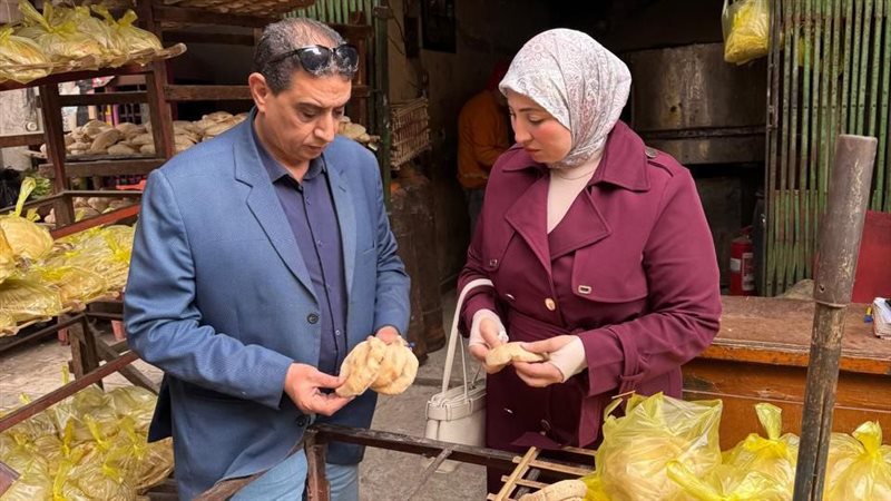 حملات رقابية
