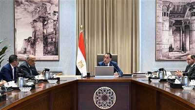رئيس الوزراء يتابع الموقف التنفيذي للمشروعات في قطاع الطاقة وجهود جذب الاستثمارات