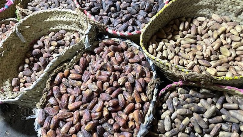 أسعار بلح رمضان بالأسواق