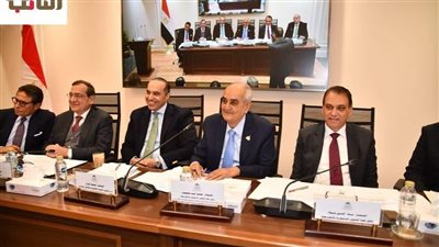 وزير الشئون النيابية: 10% من فاقد الكهرباء يرجع لأسباب فنية تتحمله الحكومة 