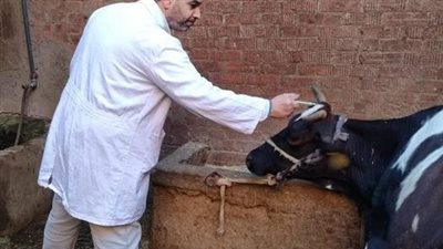 بيطري دمياط يطلق اليوم قافلة علاجية مجانية موسعة بقرية العنانية