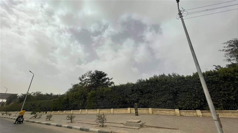 طقس الغد، فيتو