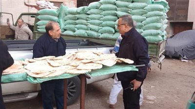 ضبط 4.5 أطنان مخللات وملح مغشوش في حملات تموينية بالدقهلية 