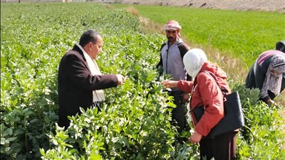 جامعة القناة تنظم قافلة للإصحاح البيئي  بالتل الكبير بالإسماعيلية (صور) 