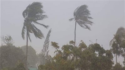 بسبب عاصفة عاتية، الجزائر تعلق الدراسة يومين في 52 ولاية