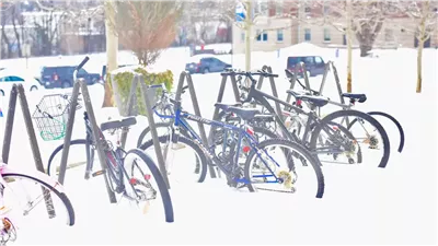 غضب الطبيعة، مصرع 38 شخصا في العاصفة الثلجية بالولايات المتحدة (فيديو وصور) 