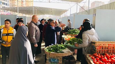 محافظ الدقهلية يتفقد سوق طلخا الحضاري وأعمال إنشاء كوبري معلة