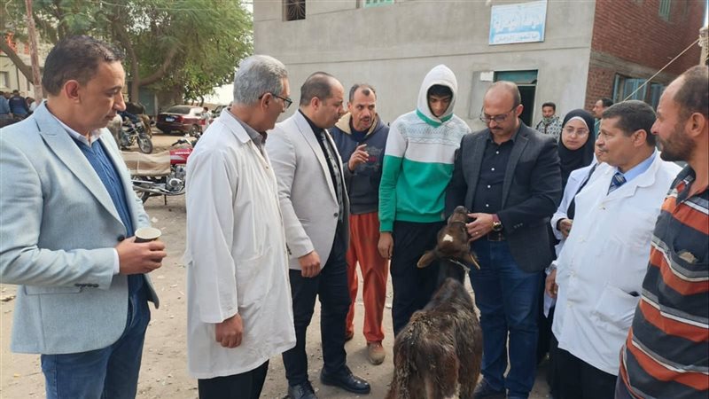 بيطري الدقهلية، فيتو