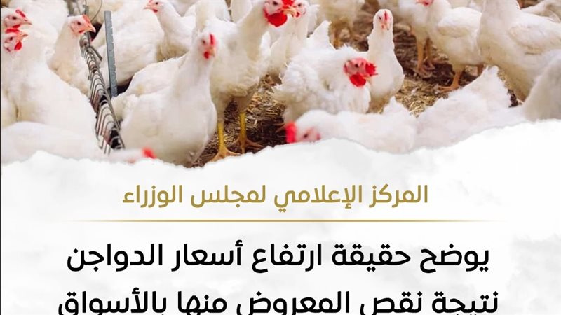 الدواجن