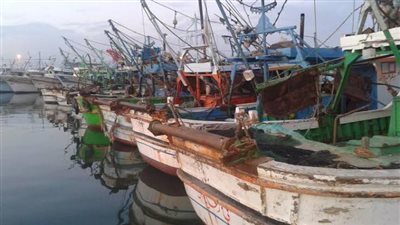 استمرار توقف حركة الملاحة والصيد بميناء البرلس لليوم الرابع على التوالي 