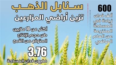 تجاوز المستهدف، الزراعة: 3.76 مليون فدان قمح بالموسم الحالي
