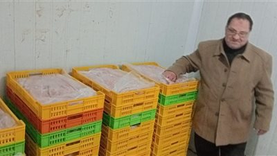 تموين الشرقية تضبط 26,2 طن مواد غذائية وأسمدة مجهولة المصدر 