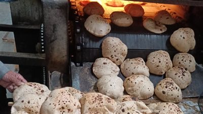 تحرير 19 مخالفة تموينية في حملة على مخابز الفيوم