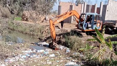 بعد تطهيرها، تحرير محضر ضد سيدة ألقت فراخ نافقة في ترعة بالدقهلية