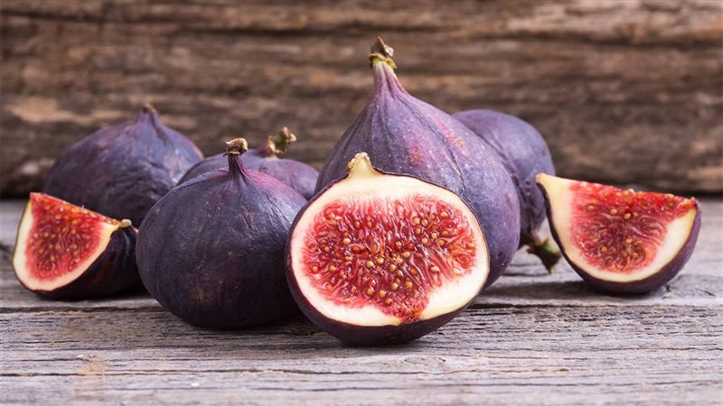 تفسير رؤيا أكل التين
