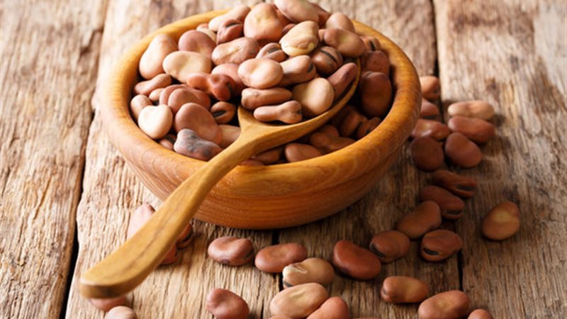 اسعار الفول 