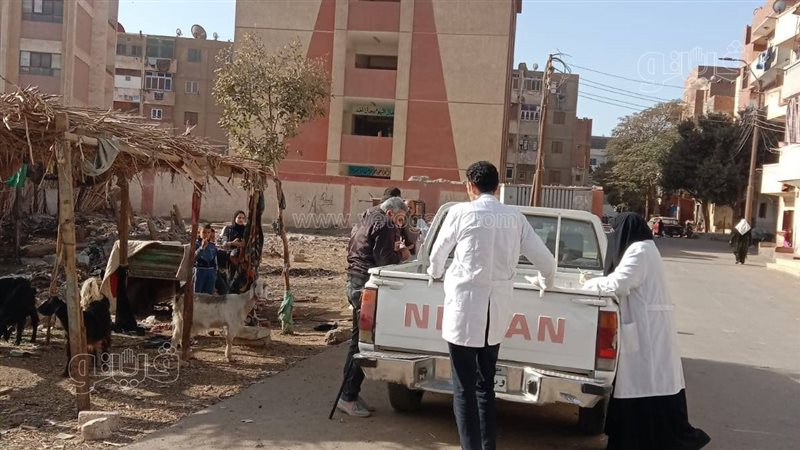 تحصين 22 كلبا ضد