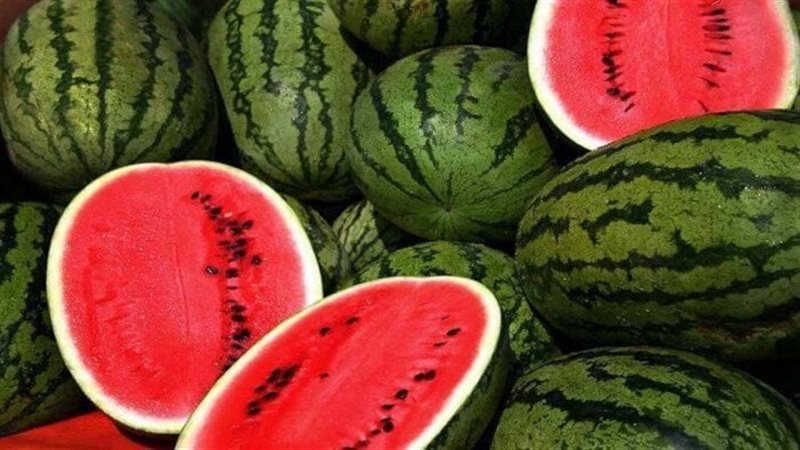 البطيخ، فيتو