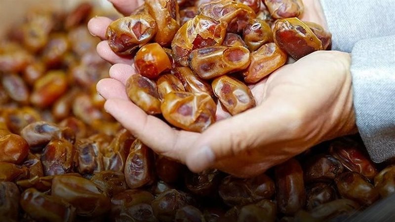 مجلس الوزراء يكشف
