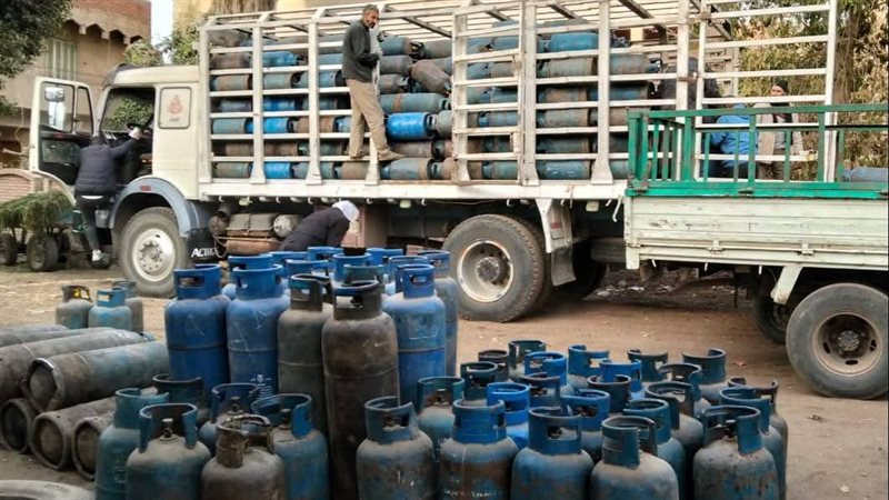 مديرية التموين بالقليويية،