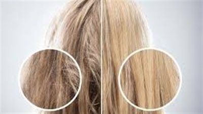 وصفات طبيعية للشعر المُجهَد إنقاذ فعّال من مطبخك