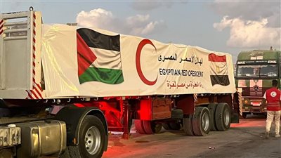  الهلال الأحمر المصري يرسل 6.3 طن مساعدات إلى غزة 