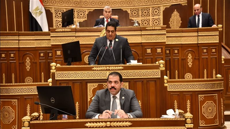 مناقشة تأثير السوشيال