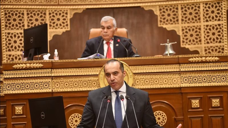 المستشار محمود فوزي