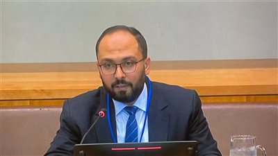 مصر تقود الجهود الدولية لإعادة صياغة النظام الضريبي العالمي في الأمم المتحدة 
