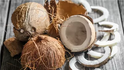 فوائد جوز الهند، يقوى المناعة وينقص الوزن ويساعد على التركيز 