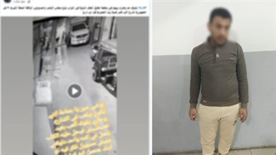 جنون المشاهدات السبب..الأمن يكشف ملابسات ادعاء تحريض كلب على عقر طفل بالمحلة الكبرى