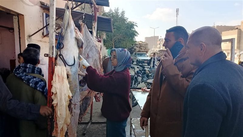 حملات الطب البيطري،
