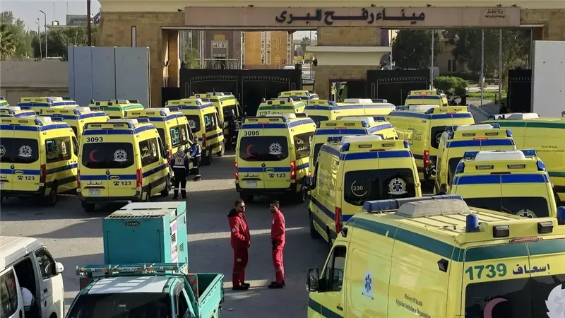 سيارات فى استقبال