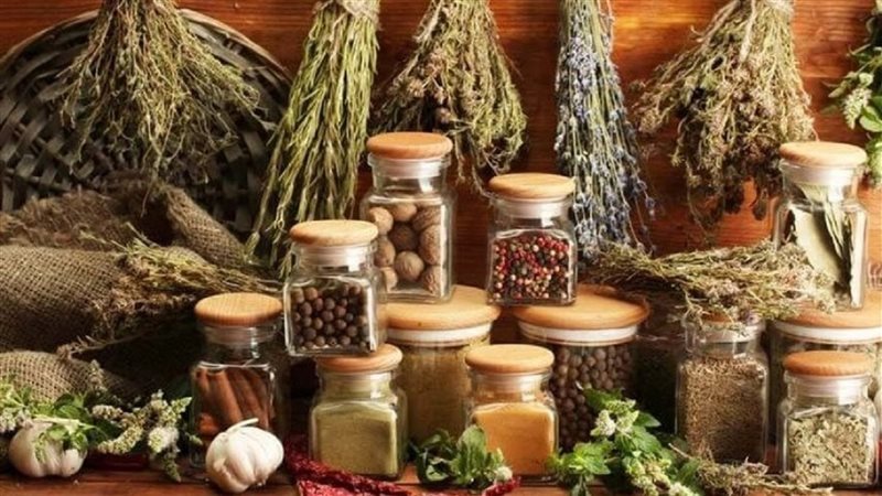 اعشاب تنظم الدورة