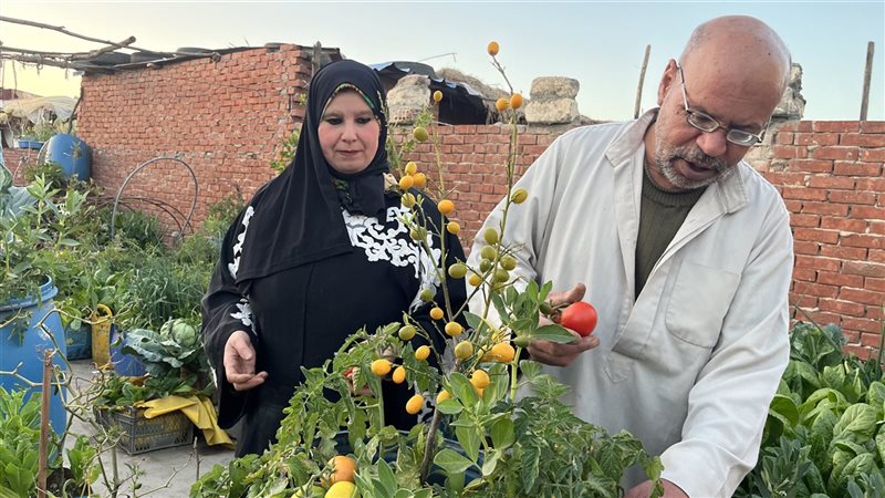 زوجان بالبحيرة يحولان