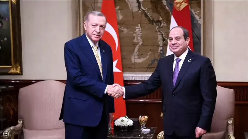 الرئيس السيسي وأردوغان