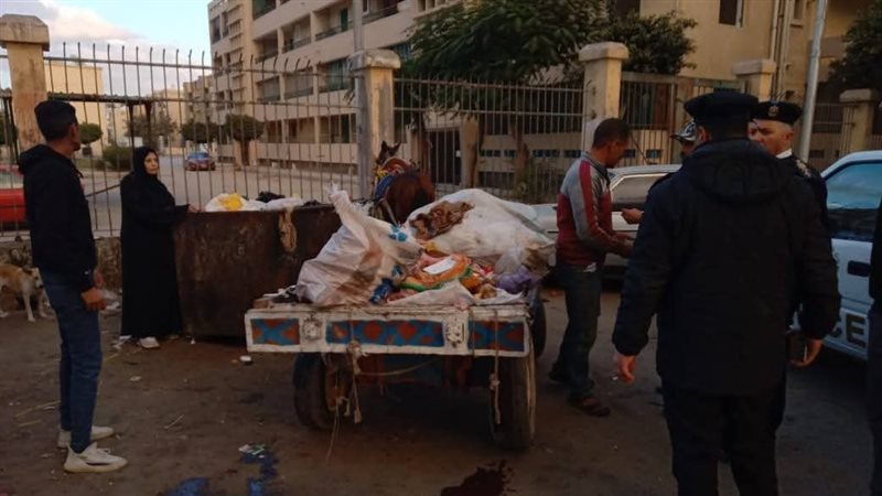 حملة لإزالة النباشين