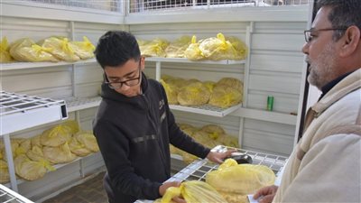 طارق مرزوق: افتتاح منفذ جديد لمخبز محافظة الدقهلية بالمعرض الدائم لتخفيف الزحام