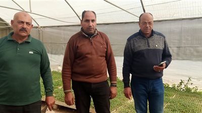 حملة لمتابعة المشاتل بمركز حوش عيسى في البحيرة لتقديم الدعم الفني