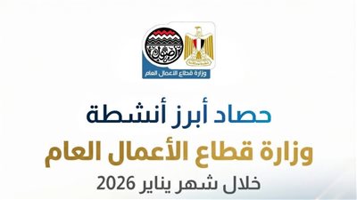 نشاط وزارة قطاع الأعمال العام خلال شهر يناير (إنفوجراف)