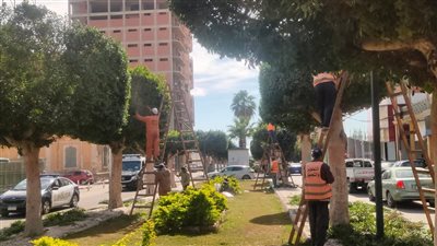 جهاز التجميل بالإسماعيلية يواصل أعمال رفع كفاءة المسطحات الخضراء 