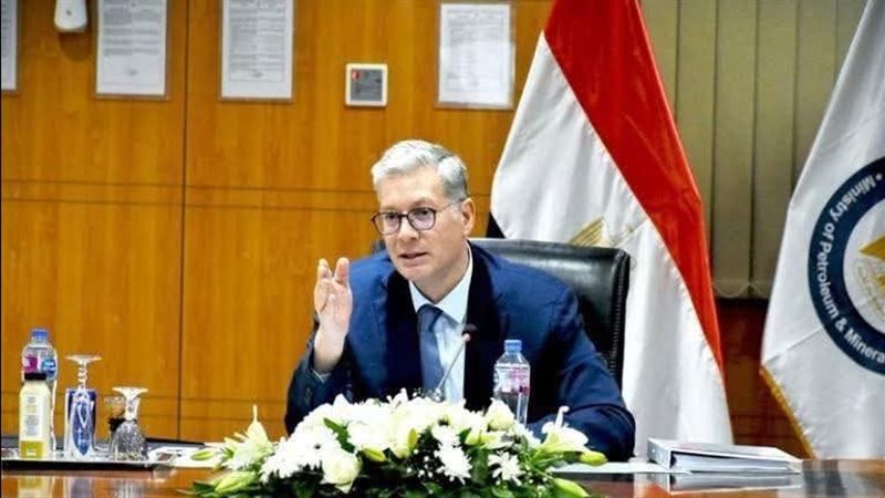 المهندس كريم بدوي