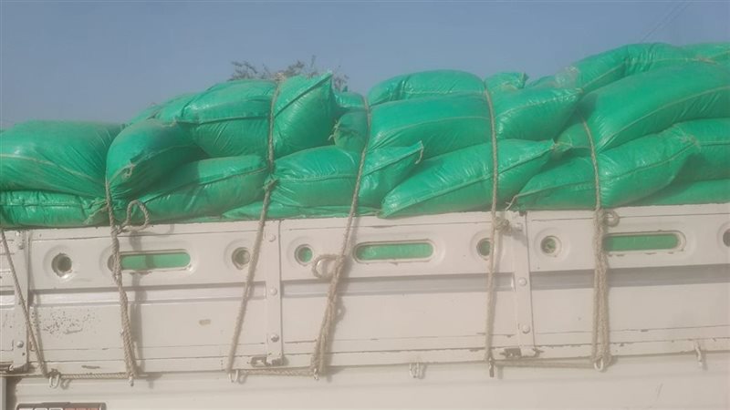 مضبوطات، فيتو