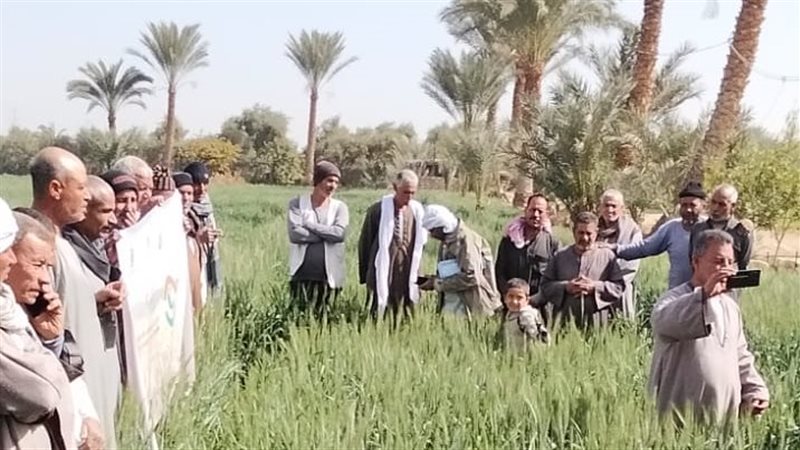 مدرسة خقلية، فيتو
