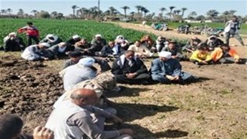 ندوة في الحقل، فيتو