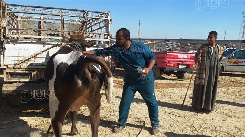 حملات لمديرية الطب
